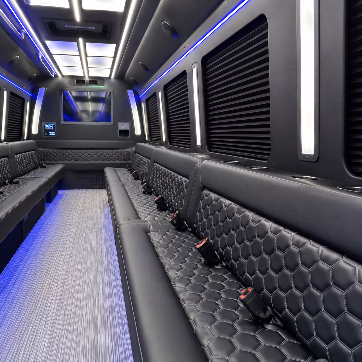 chula vista birthday party bus rental